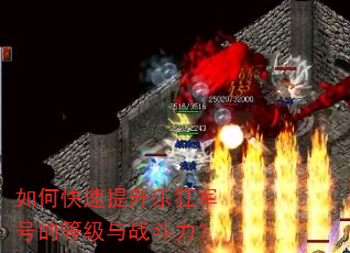 如何快速提升乐狂军号的等级与战斗力? 如何快速提升乐狂军号的等级与战斗力?