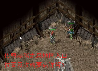 传奇黑暗之森地图入口位置及攻略要点详解? 传奇黑暗之森地图入口位置及攻略要点详解?