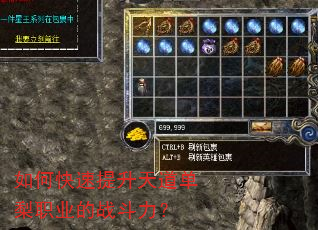 如何快速提升天道单梨职业的战斗力? 如何快速提升天道单梨职业的战斗力?