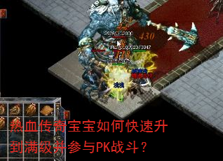 热血传奇宝宝如何快速升到满级并参与PK战斗? 热血传奇宝宝如何快速升到满级并参与PK战斗?