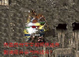 热血传奇宝宝如何快速升到满级并参与PK战斗? 热血传奇宝宝如何快速升到满级并参与PK战斗?
