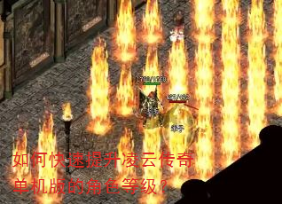 如何快速提升凌云传奇单机版的角色等级? 如何快速提升凌云传奇单机版的角色等级?