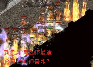 新手如何选择最适合自己的神兽印? 新手如何选择最适合自己的神兽印?