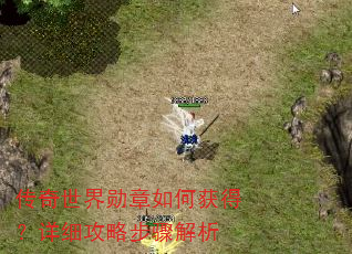传奇世界勋章如何获得?详细攻略步骤解析 传奇世界勋章如何获得?详细攻略步骤解析