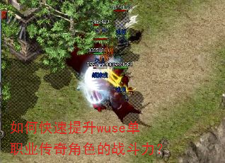 如何快速提升wuse单职业传奇角色的战斗力? 如何快速提升wuse单职业传奇角色的战斗力?