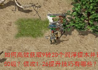 如何高效获取9转20个阎浮提木并达到250级?倍攻1.26提升技巧有哪些? 如何高效获取9转20个阎浮提木并达到250级?倍攻1.26提升技巧有哪些?