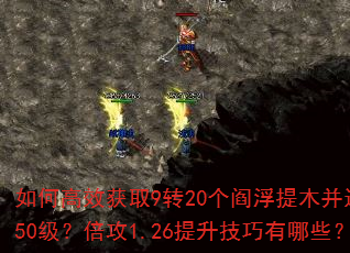 如何高效获取9转20个阎浮提木并达到250级?倍攻1.26提升技巧有哪些? 如何高效获取9转20个阎浮提木并达到250级?倍攻1.26提升技巧有哪些?