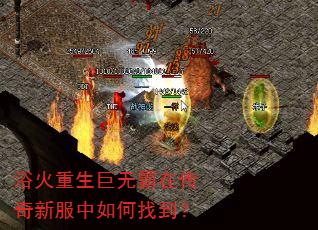 浴火重生巨无霸在传奇新服中如何找到? 浴火重生巨无霸在传奇新服中如何找到?