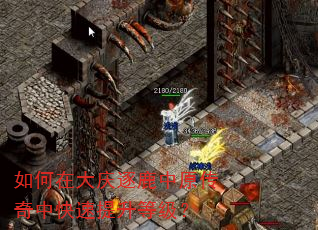 如何在大庆逐鹿中原传奇中快速提升等级? 如何在大庆逐鹿中原传奇中快速提升等级?