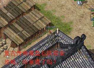 复古传奇魔血石获取全攻略,你掌握了吗? 复古传奇魔血石获取全攻略,你掌握了吗?