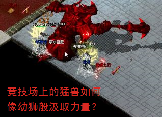 竞技场上的猛兽如何像幼狮般汲取力量? 竞技场上的猛兽如何像幼狮般汲取力量?