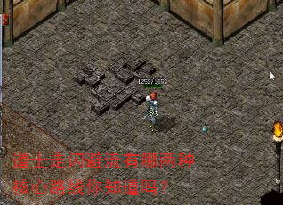 道士走闪避流有哪两种核心路线你知道吗? 道士走闪避流有哪两种核心路线你知道吗?