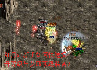 红月sf新手如何快速提升等级与获取顶级装备? 红月sf新手如何快速提升等级与获取顶级装备?