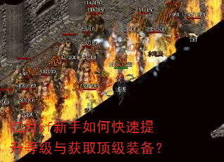 红月sf新手如何快速提升等级与获取顶级装备? 红月sf新手如何快速提升等级与获取顶级装备?
