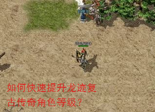 如何快速提升龙迹复古传奇角色等级? 如何快速提升龙迹复古传奇角色等级?