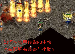 如何在仙境传说RO中快速获取稀有装备与坐骑? 如何在仙境传说RO中快速获取稀有装备与坐骑?