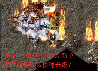 刚开一秒的呼啦圈新新单职丙私服怎么快速升级? 刚开一秒的呼啦圈新新单职丙私服怎么快速升级?