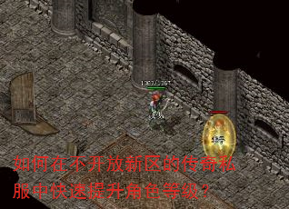 如何在不开放新区的传奇私服中快速提升角色等级? 如何在不开放新区的传奇私服中快速提升角色等级?