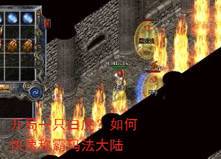 开局一只白虎?如何快速称霸玛法大陆 开局一只白虎?如何快速称霸玛法大陆