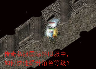 传奇私服国际怀旧服中,如何快速提升角色等级? 传奇私服国际怀旧服中,如何快速提升角色等级?