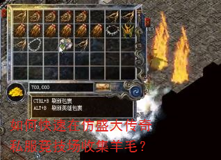 如何快速在仿盛大传奇私服竞技场收集羊毛? 如何快速在仿盛大传奇私服竞技场收集羊毛?