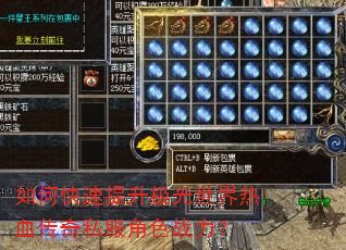 如何快速提升极光世界热血传奇私服角色战力? 如何快速提升极光世界热血传奇私服角色战力?