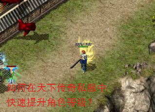 如何在天下传奇私服中快速提升角色等级? 如何在天下传奇私服中快速提升角色等级?