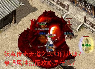 妖尊传奇天道之魂如何获取?最强属性搭配攻略是什么? 妖尊传奇天道之魂如何获取?最强属性搭配攻略是什么?