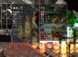 如何快速提升山东传奇私服单职业版本的战斗力? 如何快速提升山东传奇私服单职业版本的战斗力?