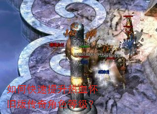 ��ο���������Ѫ���ɰ洫���ɫ�ȼ���