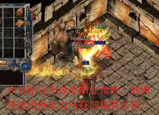 �����¿����ⵥְҵ���棬��ο�������ս�����ȡϡ��װ����