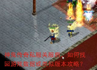 �������˽���ط�������һ���Ϸ���ݻ����ư汾���ԣ�