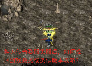 �������˽���ط�������һ���Ϸ���ݻ����ư汾���ԣ�
