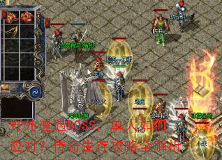 Ұ������BOSS���������Ӧ�ԣ��������湥��ȫ����