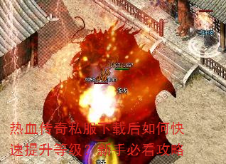 ��Ѫ����˽�����غ���ο��������ȼ������ֱؿ�����