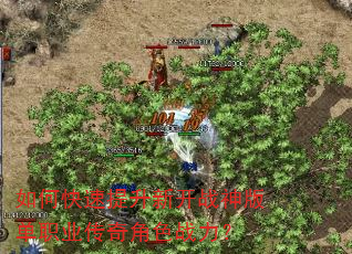 ��ο��������¿�ս��浥ְҵ�����ɫս����
