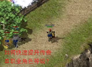 如何快速提升传奇单职业角色等级? 如何快速提升传奇单职业角色等级?