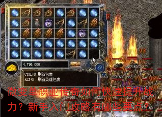 ΢�䵥ְҵ������ο�������ս�����������Ź�������ЩҪ�㣿