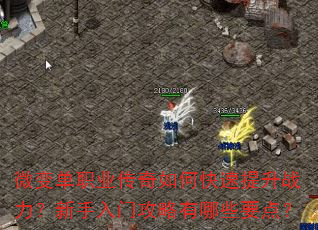 ΢�䵥ְҵ������ο�������ս�����������Ź�������ЩҪ�㣿