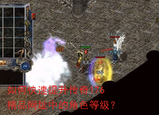 如何快速提升传奇176精品网址中的角色等级? 如何快速提升传奇176精品网址中的角色等级?