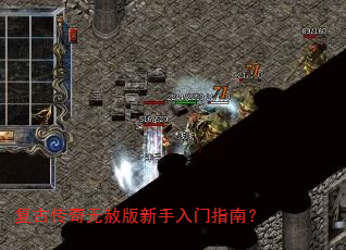���Ŵ����������������ָ�ϣ�