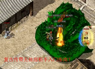 ���Ŵ����������������ָ�ϣ�