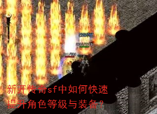�¿�����sf����ο���������ɫ�ȼ���װ����
