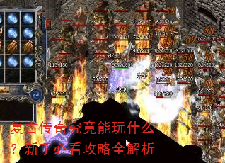 ���Ŵ��澿������ʲô�����ֱؿ�����ȫ����