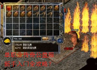 ��ְҵ���湫�����������ȫ���ԣ�