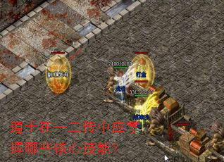 ��ʿ��һ������Ӧ������Щ���ļ��ܣ�