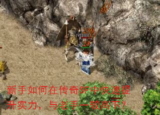 新手如何在传奇SF中快速提升实力,与老手一较高下? 新手如何在传奇SF中快速提升实力,与老手一较高下?