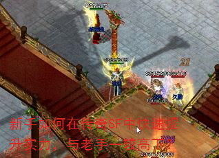 新手如何在传奇SF中快速提升实力,与老手一较高下? 新手如何在传奇SF中快速提升实力,与老手一较高下?