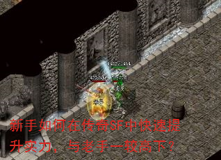 新手如何在传奇SF中快速提升实力,与老手一较高下? 新手如何在传奇SF中快速提升实力,与老手一较高下?