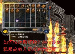 如何快速刷经验?热血传奇私服高效升级攻略大揭秘 如何快速刷经验?热血传奇私服高效升级攻略大揭秘